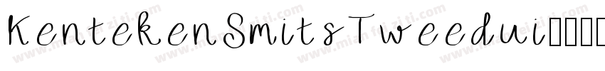 KentekenSmitsTweedui字体转换