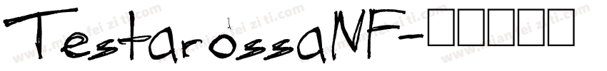 TestarossaNF字体转换