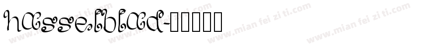hasselblad字体转换