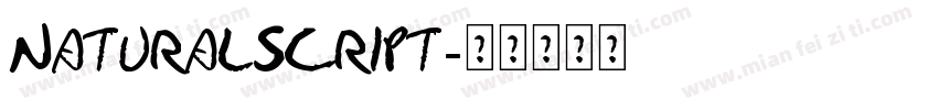 NaturalScript字体转换