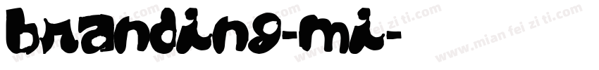branding-mi字体转换