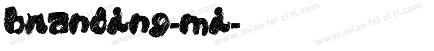 branding-mi字体转换