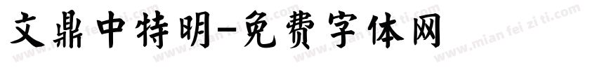 文鼎中特明字体转换