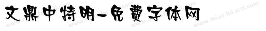 文鼎中特明字体转换