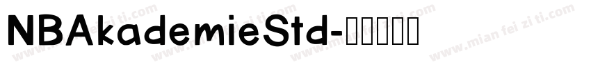 NBAkademieStd字体转换