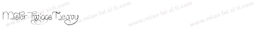 MisterTwiggsHeavy字体转换