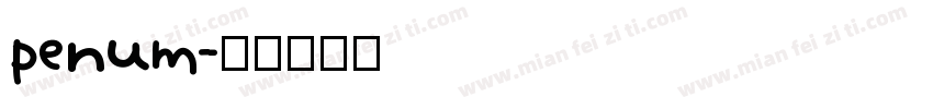 penum字体转换