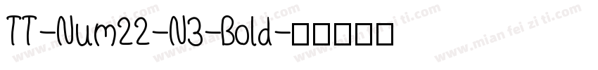 TT-Num22-N3-Bold字体转换