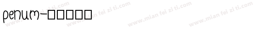 penum字体转换