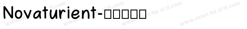 Novaturient字体转换