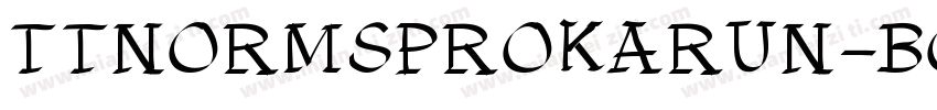 TTNORMSPROKARUN-BOLD字体转换