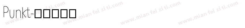 Punkt字体转换