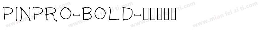 PINPRO-BOLD字体转换
