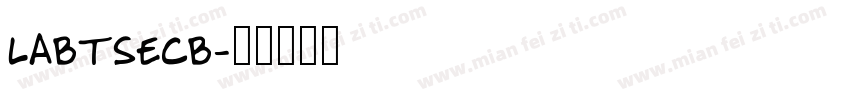 LABTSECB字体转换