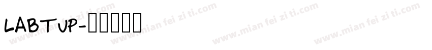 LABTUP字体转换