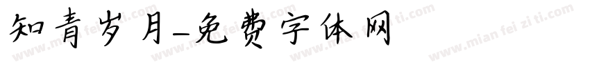 知青岁月字体转换