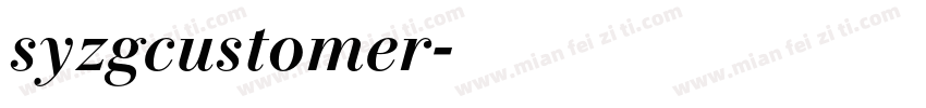 syzgcustomer字体转换