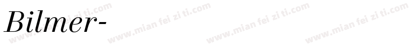 Bilmer字体转换