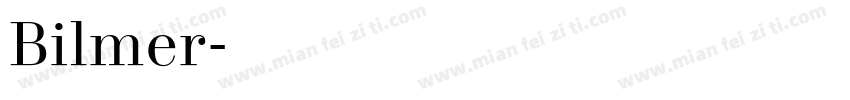 Bilmer字体转换