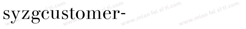 syzgcustomer字体转换
