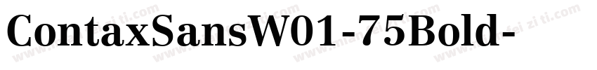 ContaxSansW01-75Bold字体转换