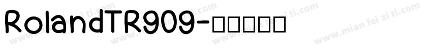 RolandTR909字体转换