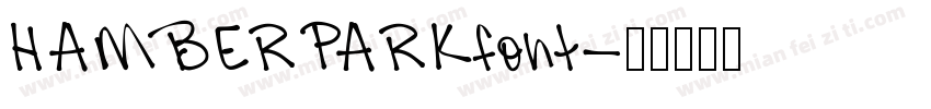 HAMBERPARKfont字体转换