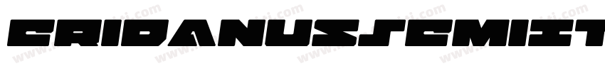 EridanusSemiItalic-1gXg字体转换
