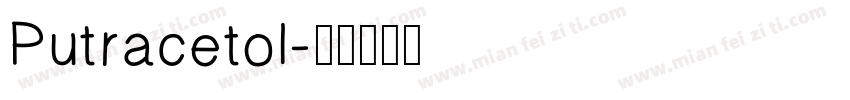 Putracetol字体转换