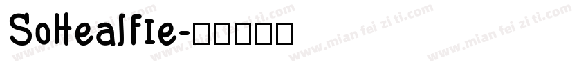 SoHealfie字体转换