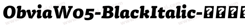 ObviaW05-BlackItalic字体转换