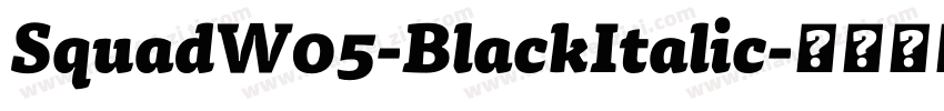 SquadW05-BlackItalic字体转换