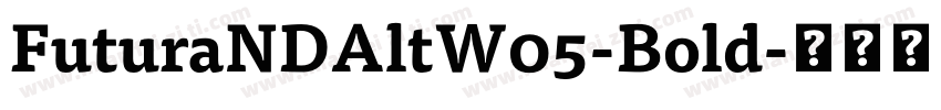 FuturaNDAltW05-Bold字体转换