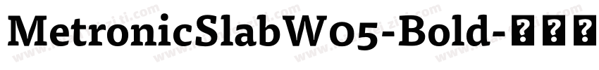 MetronicSlabW05-Bold字体转换