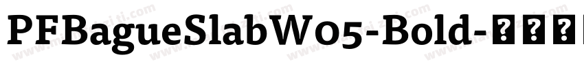 PFBagueSlabW05-Bold字体转换
