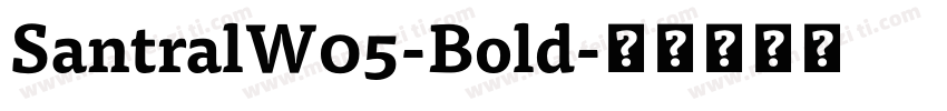 SantralW05-Bold字体转换