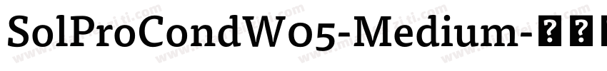 SolProCondW05-Medium字体转换