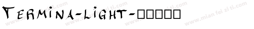 Termina-light字体转换