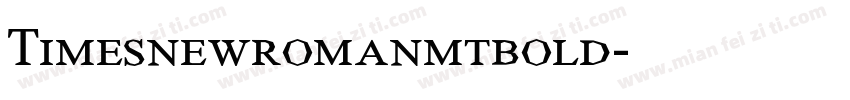 Timesnewromanmtbold字体转换