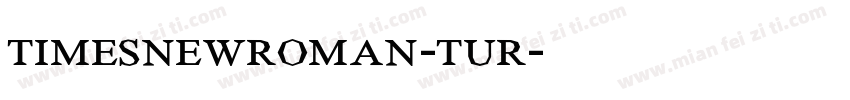 timesnewroman-tur字体转换