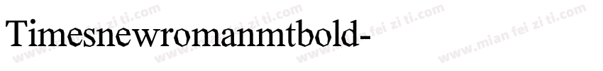 Timesnewromanmtbold字体转换