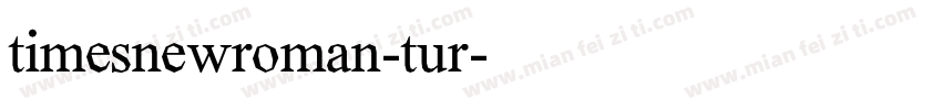 timesnewroman-tur字体转换