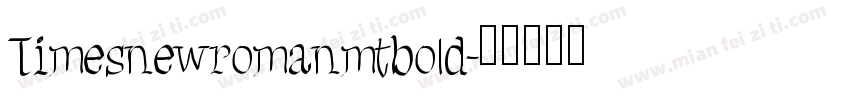 Timesnewromanmtbold字体转换
