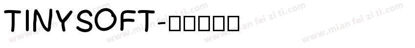 TINYSOFT字体转换