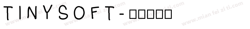 TINYSOFT字体转换