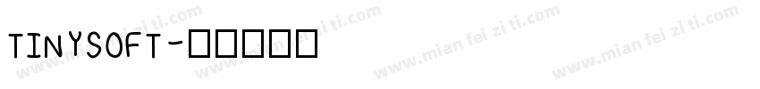 TINYSOFT字体转换