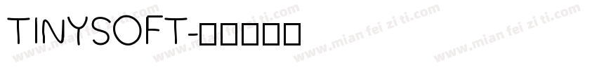 TINYSOFT字体转换