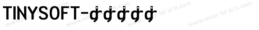 TINYSOFT字体转换