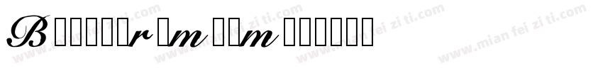 BW7tpPremiUm字体转换