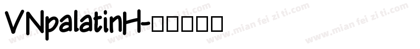 VNpalatinH字体转换
